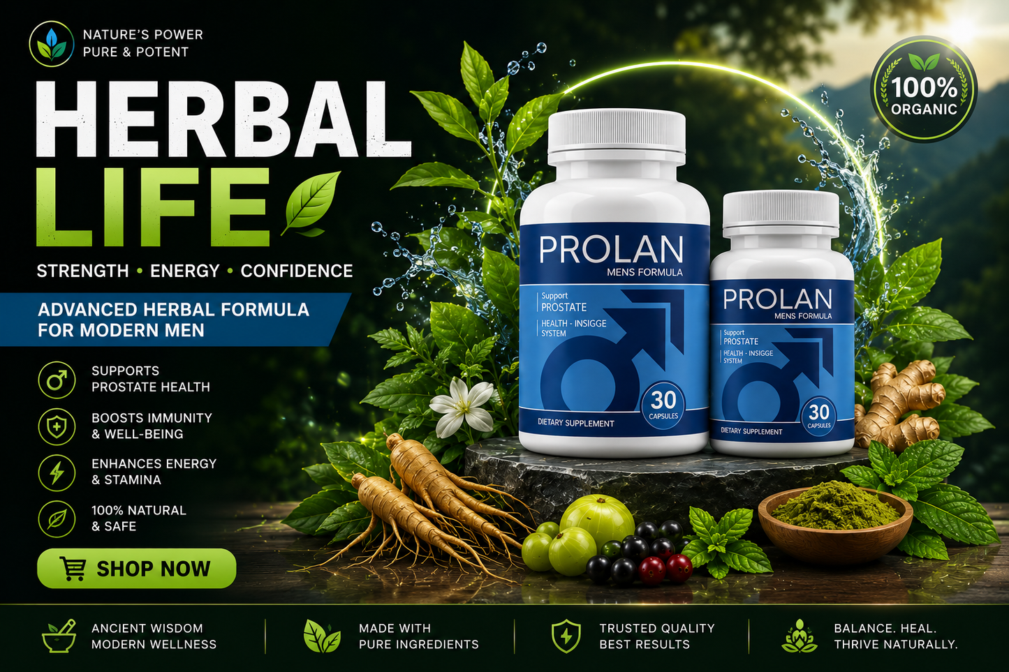 Prolan – Advanced Prostate Health & Maximum Care 2 pack offer