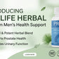 Prolan – Advanced Prostate Health & Maximum Care 2 pack offer