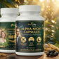 🌿 PROSTAMAX PLUS