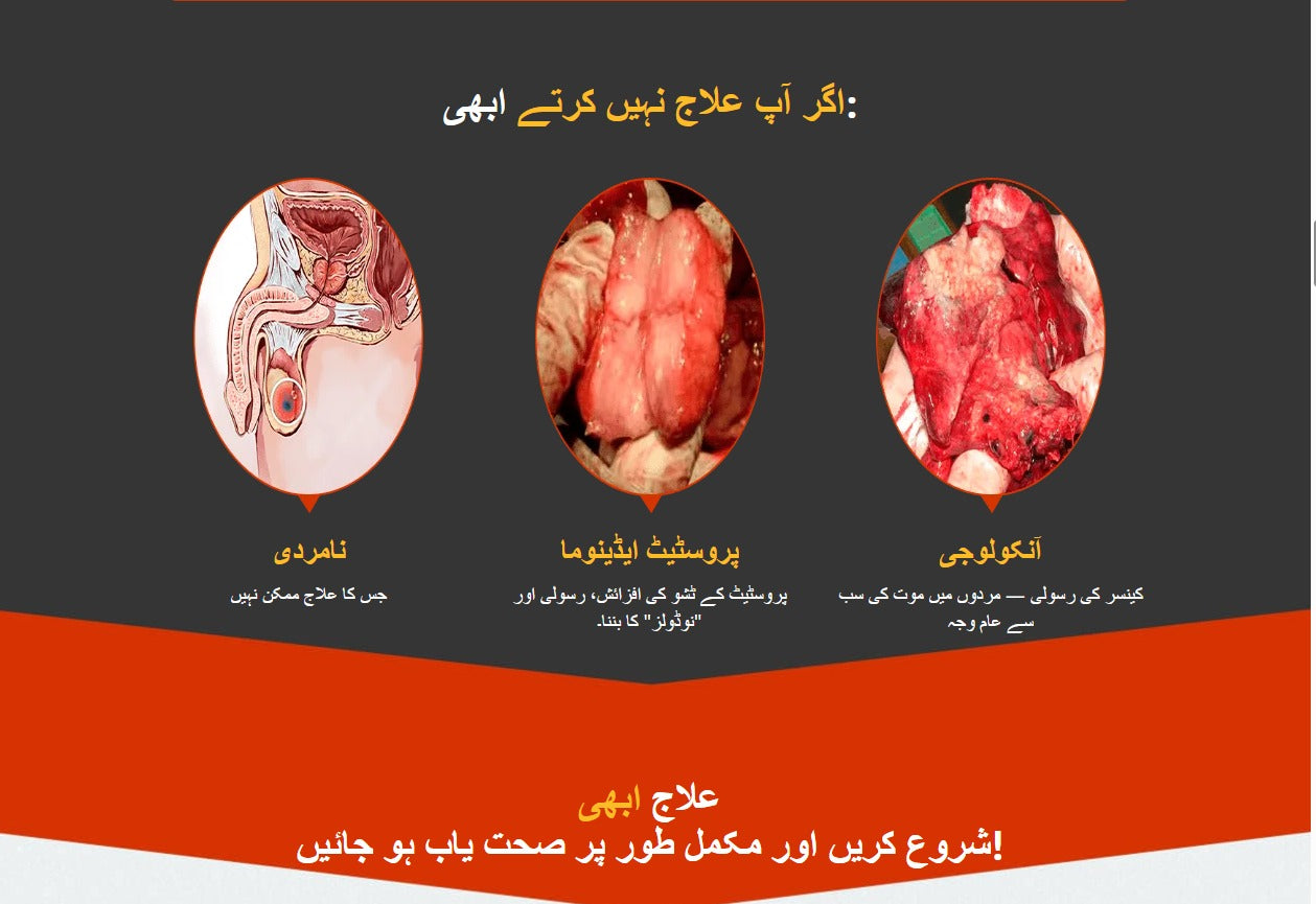 Prolan – Advanced Prostate Health & Maximum Care