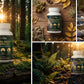 🔥 Alpha Night Capsules –