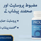 Prolan – Advanced Prostate Health & Maximum Care